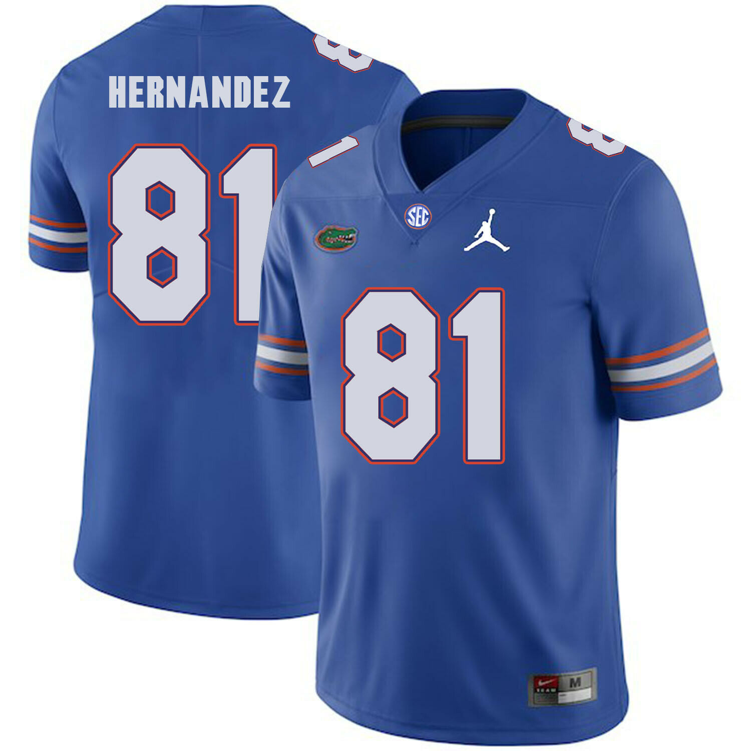 Florida Gators #81 Aaron Hernandez NCAA Football Jersey Blue Logo Patch