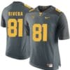 Tennessee Volunteers Mychal Rivera Jersey #81 Football NCAA Jerseys Gray
