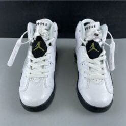 Air Jordan 6 Retro Alligator (GS)