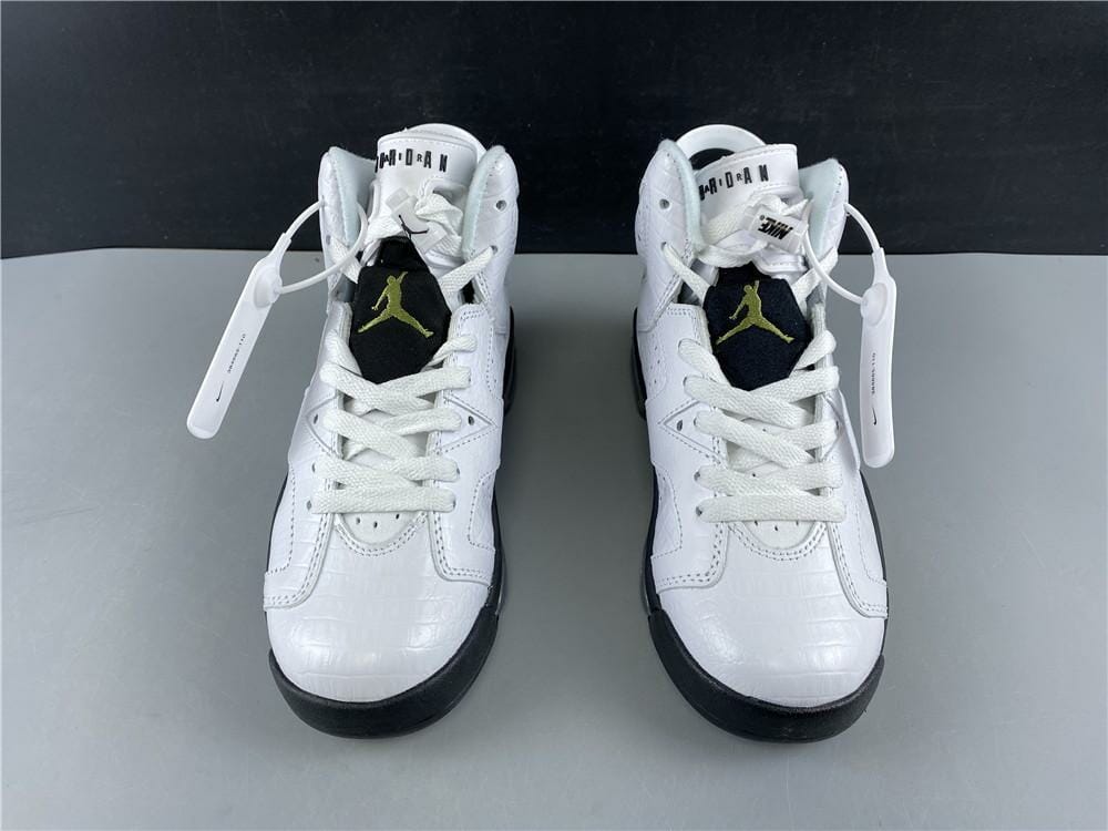 Air Jordan 6 Retro Alligator (GS)