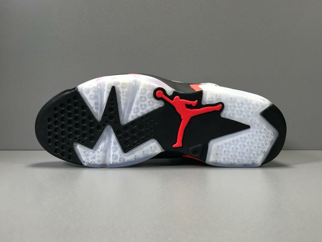 Air Jordan 6 Retro Alligator (GS)