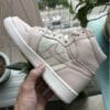 Air Jordan 1 Swoosh