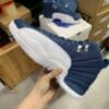 Air Jordan 12 Indigo Classic Retro