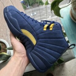 Air Jordan 12 Luckle Suede