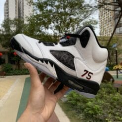 Air Jordan 5 Paris