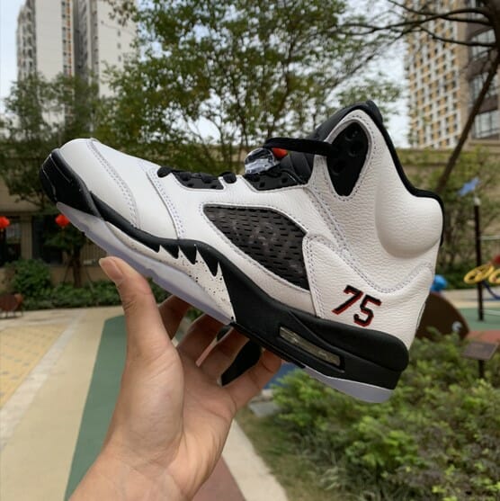Air Jordan 5 Paris