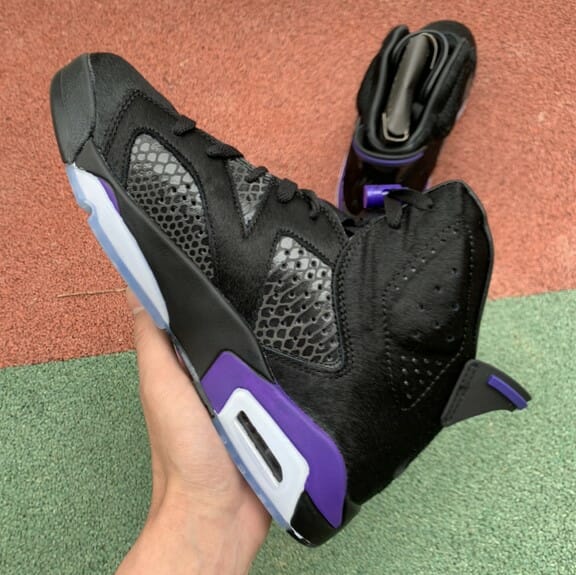 Air Jordan 6 NRG Horsehair Snake