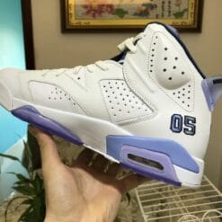 Air Jordan 6 UNC Pantone