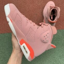 Air Jordan 6 x Aleali May