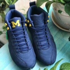 Air Jordan 12 Luckle Suede