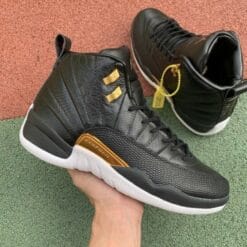 Air Jordan 12 Midnight Black Joe