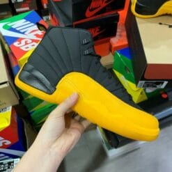 Air Jordan 12 University Gold