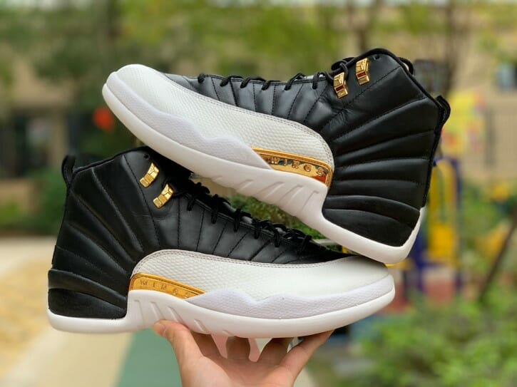 Air Jordan 12 Wings