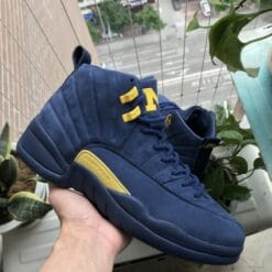 Air Jordan 12 Luckle Suede