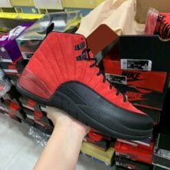 Air Jordan 12 Reverse Flu