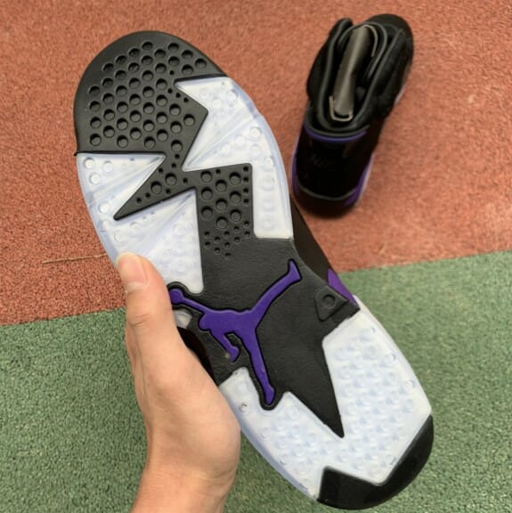 Air Jordan 6 NRG Horsehair Snake - Image 3