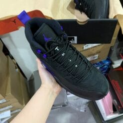 Air Jordan 12 Dark Concord