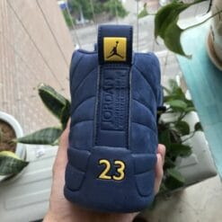 Air Jordan 12 Luckle Suede