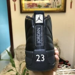 Air Jordan 12 Michigan