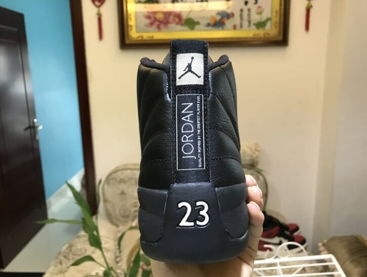 Air Jordan 12 Michigan