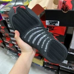 Air Jordan 12 Reverse Flu