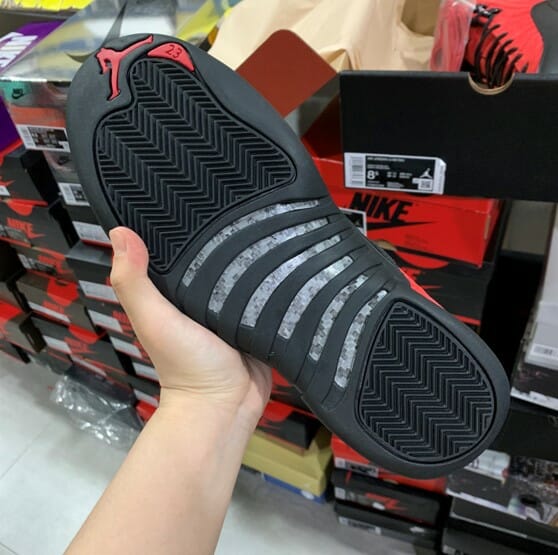 Air Jordan 12 Reverse Flu
