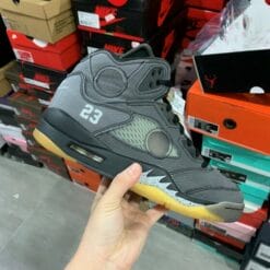 Air Jordan 5 Grey