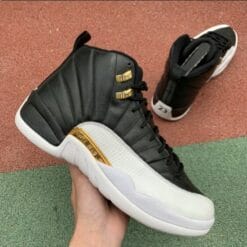 Air Jordan 12 Wings