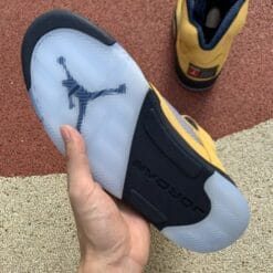 Air Jordan 5 Michigan Black Yellow