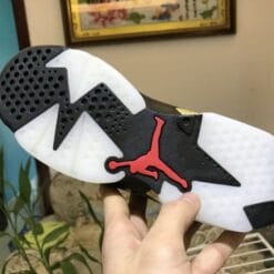 Air Jordan 6 CNY Black