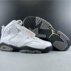 Air Jordan 6 Retro Alligator (GS)