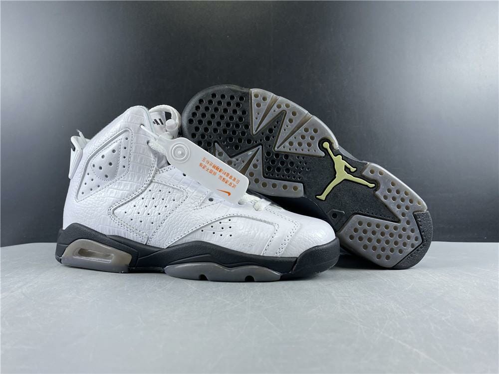 Air Jordan 6 Retro Alligator (GS)