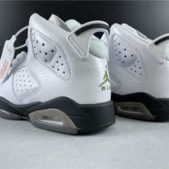 Air Jordan 6 Retro Alligator (GS)