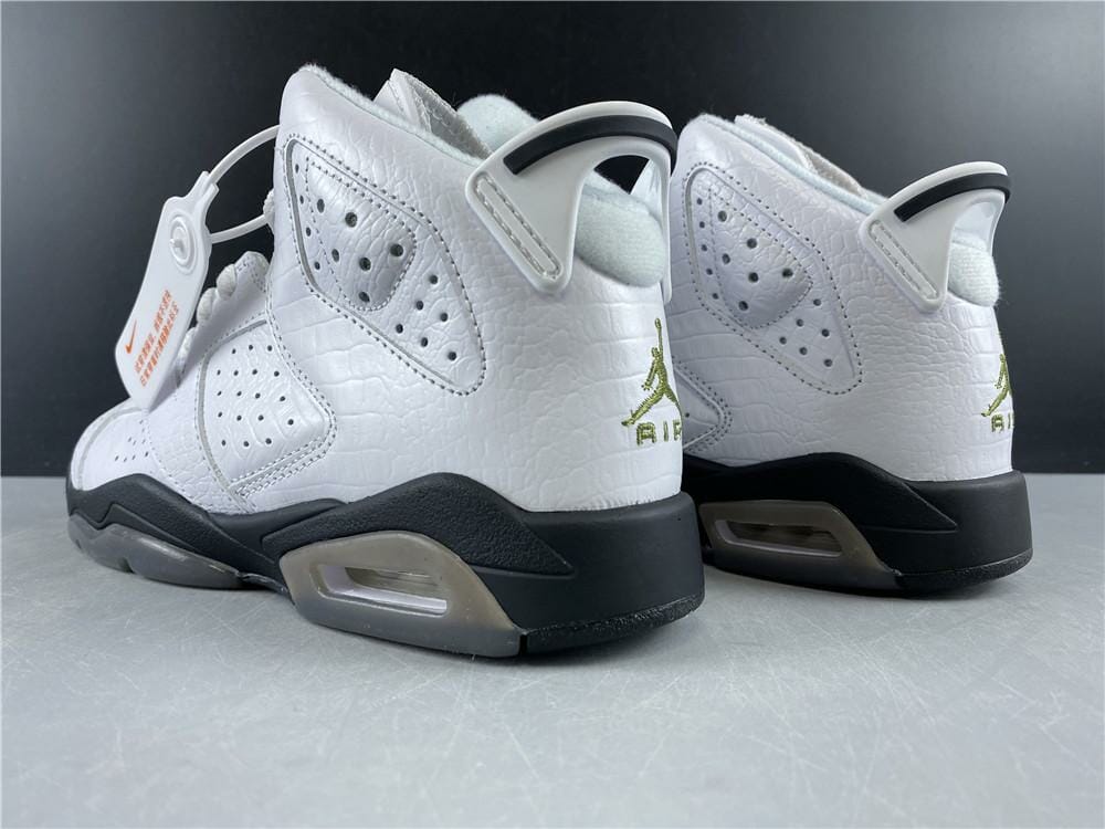 Air Jordan 6 Retro Alligator (GS)