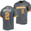 Jorel Ortega Jersey Tennessee Volunteers College Baseball Grey #2