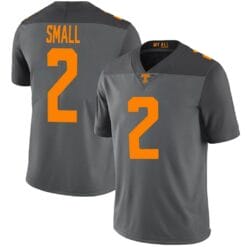 Tennessee Volunteers Jabari Small Jersey #2 College Football Gray