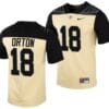 Purdue Boilermakers Kyle Orton Jersey #18 College Football Gold Vapor Untouchable