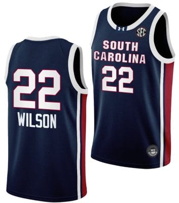 Aja Wilson Jersey #22 South Carolina Gamecocks College Basketball 2023-24 Away Black