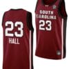 Bree Hall Jersey #23 South Carolina Gamecocks College Basketball 2023-24 Garnet