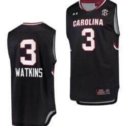 Ashlyn Watkins Jersey #3 South Carolina Gamecocks Jersey College Basketball Black