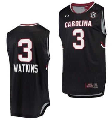Ashlyn Watkins Jersey #3 South Carolina Gamecocks Jersey College Basketball Black