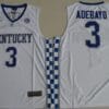 Edrice Adebayo Jersey #3 Kentucky Wildcats NCAA Basketball White