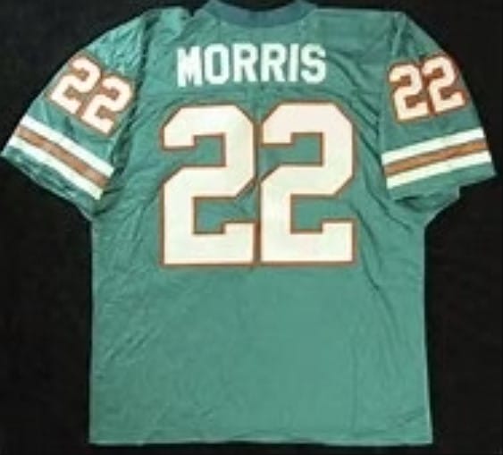 Mercury Morris Jersey Miami Dolphins Custom Throwback Football Green
