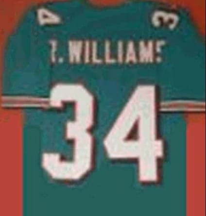 Ricky Williams Jersey Miami Dolphins Custom Throwback Football Green