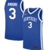 Georgia Amoore Jersey #3 Kentucky Wildcats NIL Basketball Royal