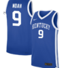 Trent Noah Jersey #9 Kentucky Wildcats NIL Basketball Royal