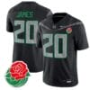 Jordan James Jersey #20 Oregon Ducks Rose Bowl Patch Vapor Football Stitched