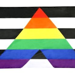 3x5FT Flag Straight Ally LGBTQ Straight Alliance Gay Pride Solidarity Rainbow