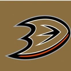 Anaheim Ducks Custom Flag 3X5Ft Polyester Digital Print Banner USA