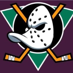 Anaheim Ducks Flag 3X5Ft Polyester Digital Print Banner USA